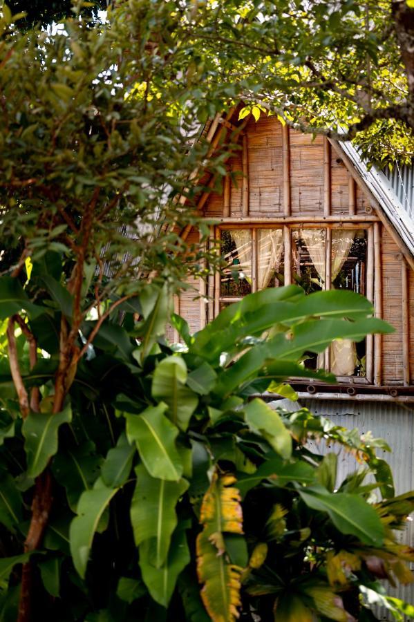 Chalet Ecoturismo La Nohelia เฮรีโค ภายนอก รูปภาพ