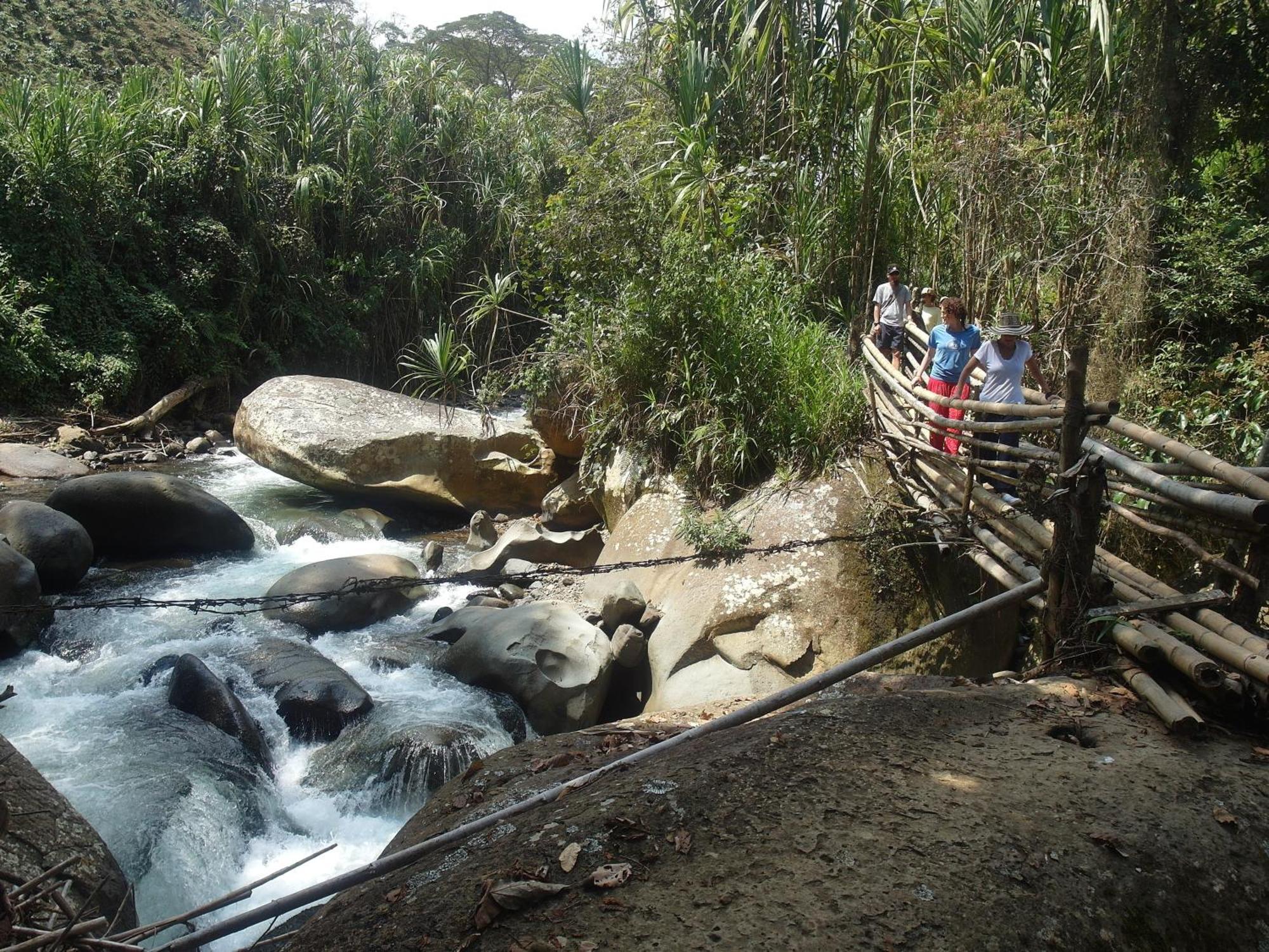 Chalet Ecoturismo La Nohelia เฮรีโค ภายนอก รูปภาพ