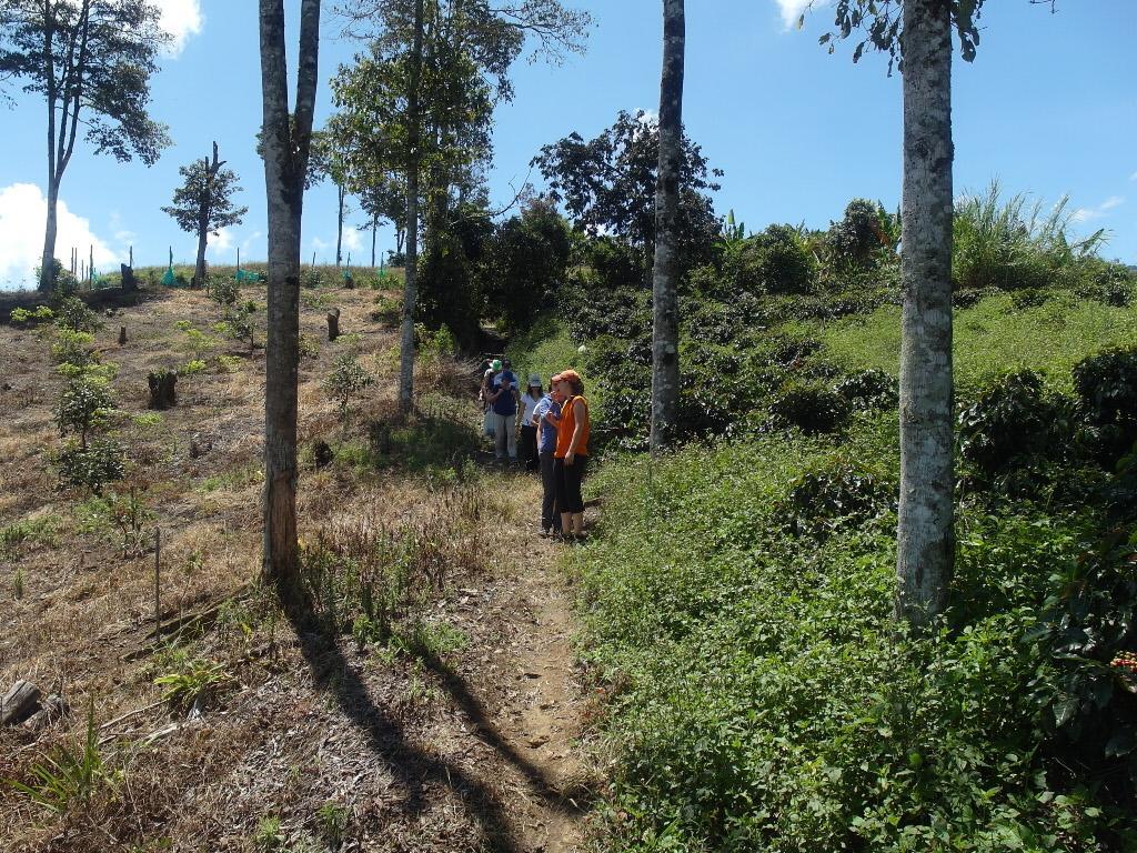 Chalet Ecoturismo La Nohelia เฮรีโค ภายนอก รูปภาพ