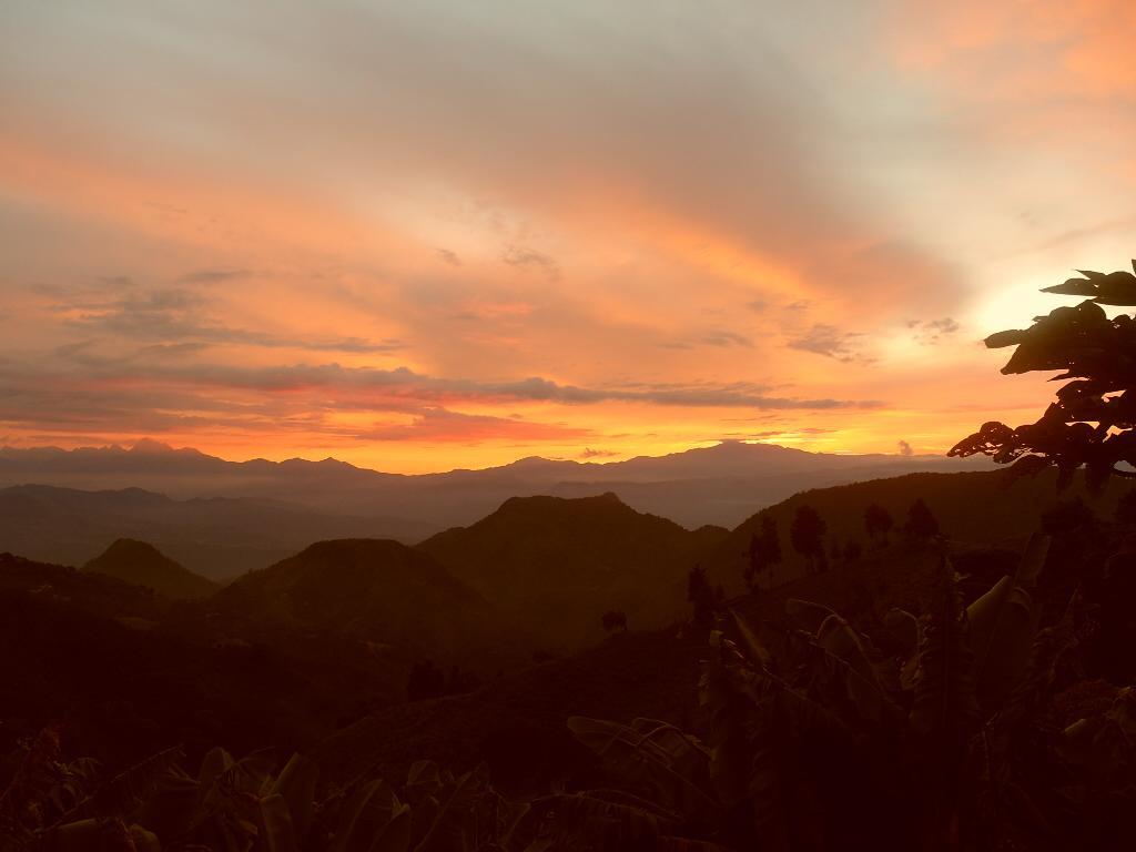 Chalet Ecoturismo La Nohelia เฮรีโค ภายนอก รูปภาพ