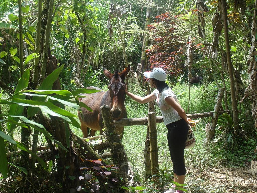 Chalet Ecoturismo La Nohelia เฮรีโค ภายนอก รูปภาพ